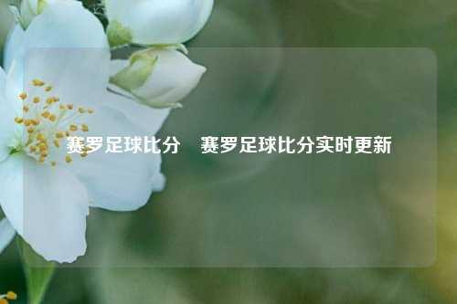 赛罗足球比分⚽赛罗足球比分实时更新