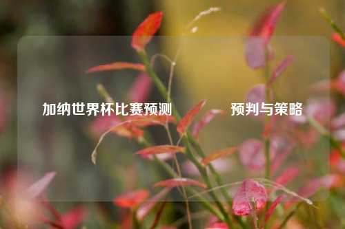 加纳世界杯比赛预测👍预判与策略