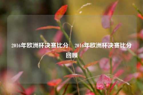 2016年欧洲杯决赛比分⚽2016年欧洲杯决赛比分回顾