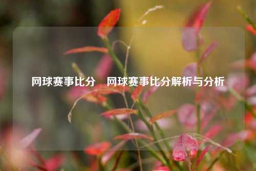 网球赛事比分⚾网球赛事比分解析与分析