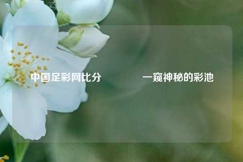中国足彩网比分🏅一窥神秘的彩池