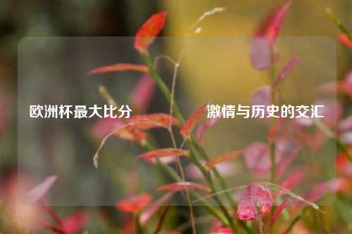 欧洲杯最大比分🎖️激情与历史的交汇