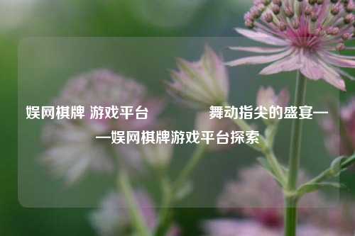 娱网棋牌 游戏平台🏀舞动指尖的盛宴——娱网棋牌游戏平台探索