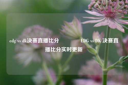 edg vs dk决赛直播比分👉EDG vs DK 决赛直播比分实时更新