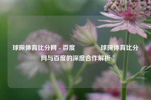 球探体育比分网 - 百度🥇球探体育比分网与百度的深度合作解析