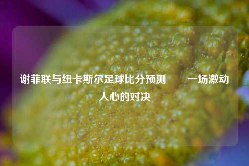 谢菲联与纽卡斯尔足球比分预测✌️一场激动人心的对决