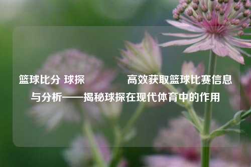 篮球比分 球探🏐高效获取篮球比赛信息与分析——揭秘球探在现代体育中的作用