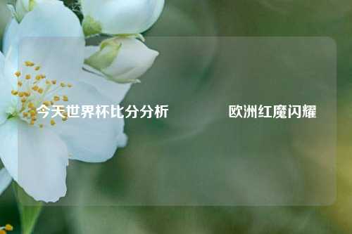 今天世界杯比分分析🥎欧洲红魔闪耀