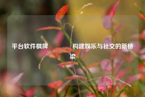 平台软件棋牌🌈构建娱乐与社交的新桥梁