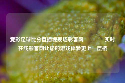竞彩足球比分直播视现场彩客网👍实时在线彩客网让您的游戏体验更上一层楼