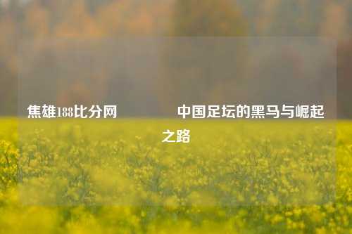 焦雄188比分网🥉中国足坛的黑马与崛起之路