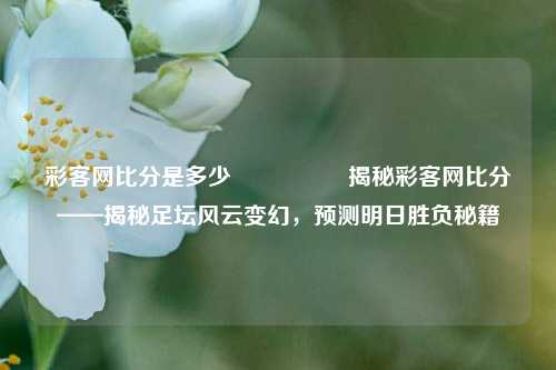 彩客网比分是多少🎖️揭秘彩客网比分——揭秘足坛风云变幻，预测明日胜负秘籍