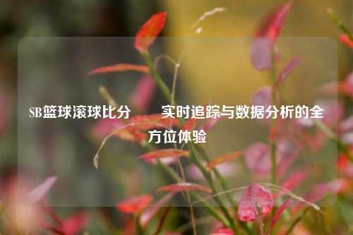 SB篮球滚球比分✌️实时追踪与数据分析的全方位体验
