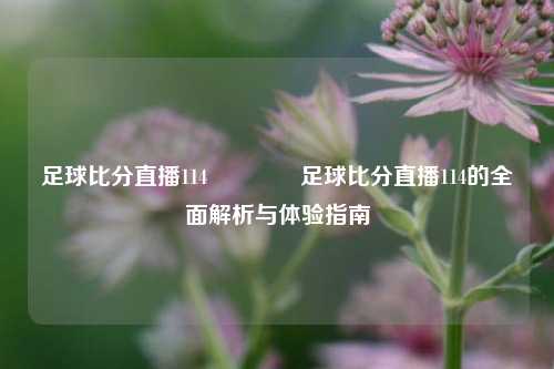 足球比分直播114🏀足球比分直播114的全面解析与体验指南