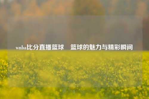 wnba比分直播篮球⚾篮球的魅力与精彩瞬间