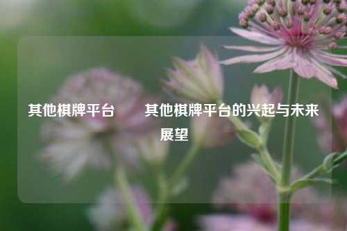 其他棋牌平台✌️其他棋牌平台的兴起与未来展望