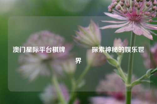 澳门星际平台棋牌🥈探索神秘的娱乐世界