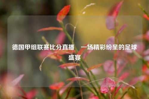 德国甲组联赛比分直播⚽一场精彩纷呈的足球盛宴