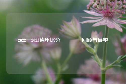 2022一2023德甲比分🥈回顾与展望