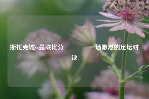 斯托克城vs曼联比分👈一场激烈的足坛对决