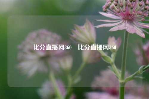 比分直播网360⚽比分直播网360