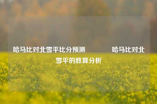 哈马比对北雪平比分预测👈哈马比对北雪平的胜算分析