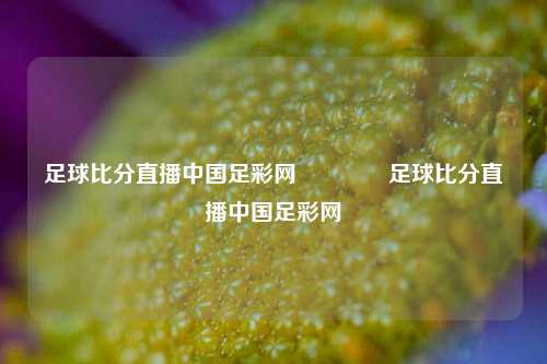 足球比分直播中国足彩网