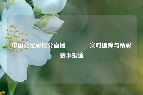 中国竞足彩比分直播🥉实时追踪与精彩赛事报道