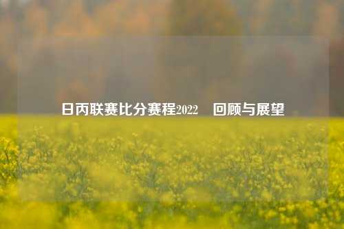 日丙联赛比分赛程2022⚽回顾与展望