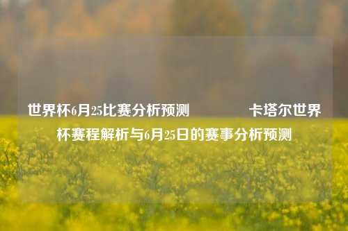 世界杯6月25比赛分析预测🏅卡塔尔世界杯赛程解析与6月25日的赛事分析预测