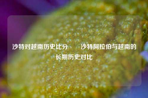 沙特对越南历史比分✌️沙特阿拉伯与越南的长期历史对比