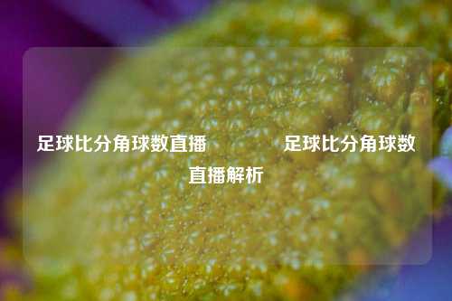 足球比分角球数直播👍足球比分角球数直播解析