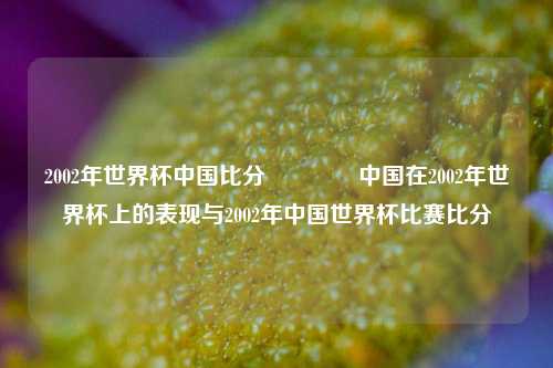 2002年世界杯中国比分🥎中国在2002年世界杯上的表现与2002年中国世界杯比赛比分