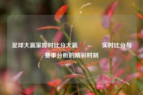 足球大赢家即时比分大赢🥉实时比分与赛事分析的精彩时刻