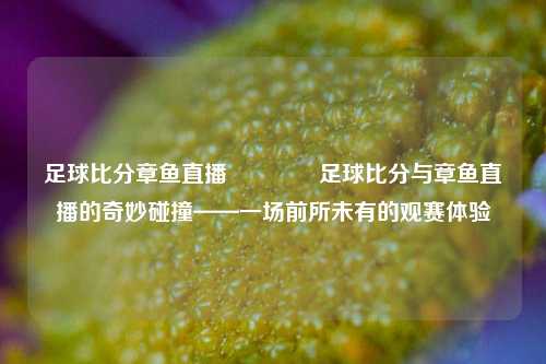 足球比分章鱼直播🏅足球比分与章鱼直播的奇妙碰撞——一场前所未有的观赛体验