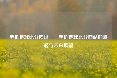 手机足球比分网址✌️手机足球比分网站的崛起与未来展望