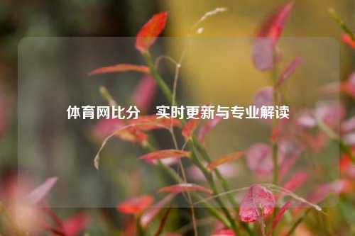 体育网比分⚽实时更新与专业解读