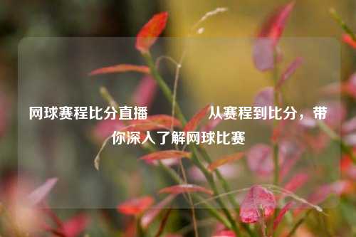 网球赛程比分直播👉从赛程到比分，带你深入了解网球比赛