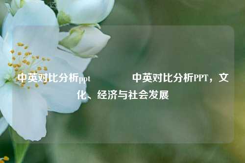 中英对比分析ppt🌈中英对比分析PPT，文化、经济与社会发展