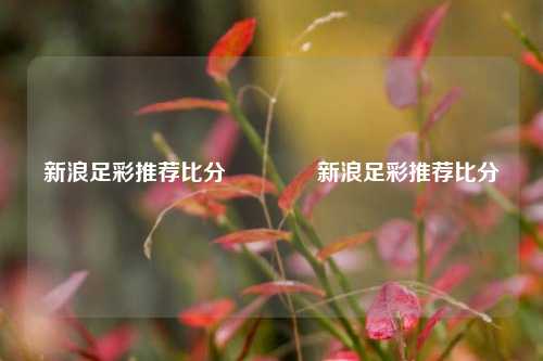 新浪足彩推荐比分🥎新浪足彩推荐比分
