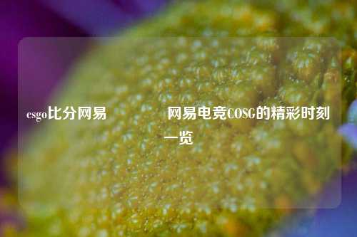 csgo比分网易🥎网易电竞COSG的精彩时刻一览