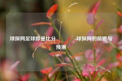 球探网足球即是比分👉球探网的前瞻与预测