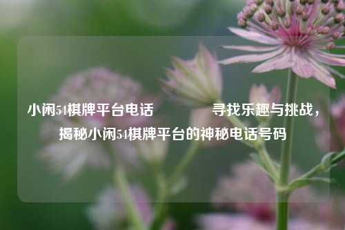 小闲54棋牌平台电话🏆寻找乐趣与挑战，揭秘小闲54棋牌平台的神秘电话号码