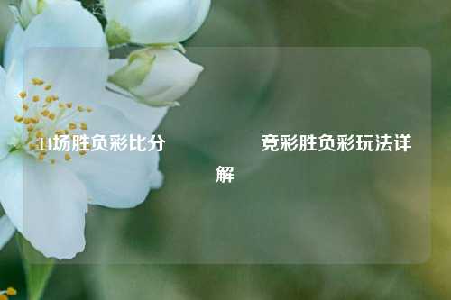14场胜负彩比分🎖️竞彩胜负彩玩法详解