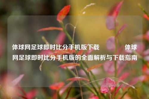 体球网足球即时比分手机版下载🏅体球网足球即时比分手机版的全面解析与下载指南
