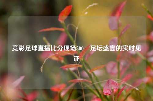 竞彩足球直播比分现场500⚽足坛盛宴的实时见证