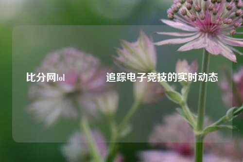 比分网lol👉追踪电子竞技的实时动态