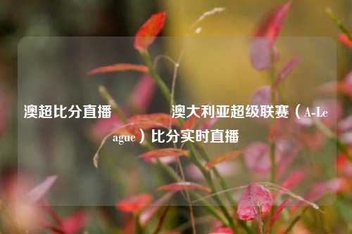 澳超比分直播🥇澳大利亚超级联赛（A-League）比分实时直播