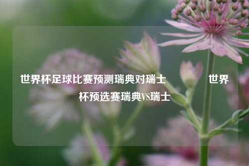 世界杯足球比赛预测瑞典对瑞士👉世界杯预选赛瑞典VS瑞士