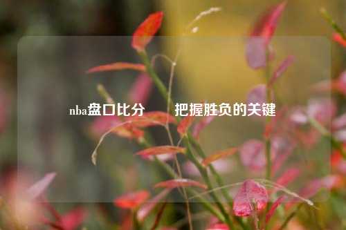 nba盘口比分✌️把握胜负的关键